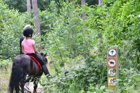 Camping Ommerland foto 7