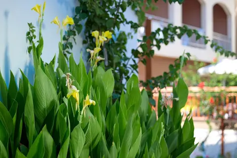 Katrin Hotel & Bungalows in Stalis Super Market, foto 23