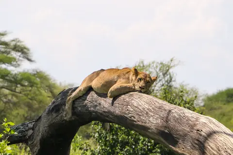 Ontdek Tanzania in Tanzania — foto 6