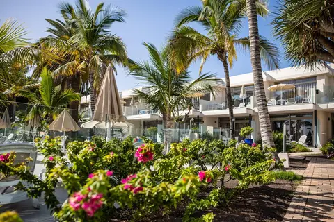 Las Buganvillas in Las Palmas de Gran Canaria — foto 9