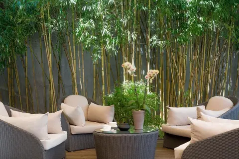 Hôtel Jade in Genève — foto 4