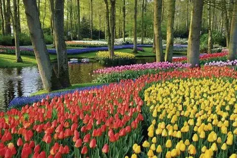 Nederland in bloei in Westerveld, foto 20