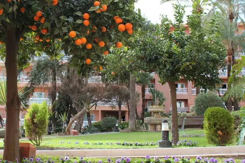 Best Siroco in Benalmádena — foto 5