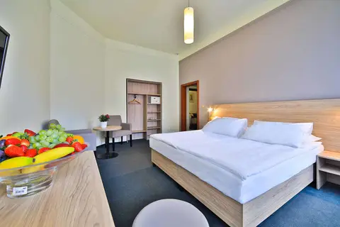 Hotel Atlantic in Praag