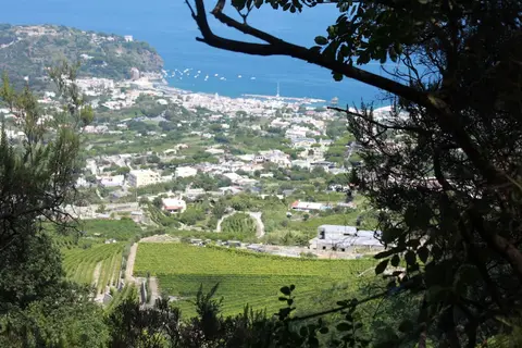 Hotel Regina Palace Terme in Ischia, foto 25