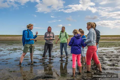 Camping Loodsmansduin foto 27