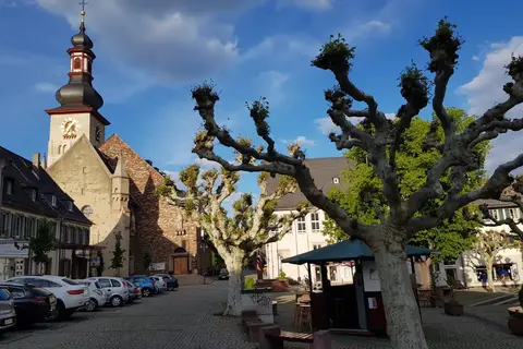 Hotel Felsenkeller in Rüdesheim am Rhein — foto 17