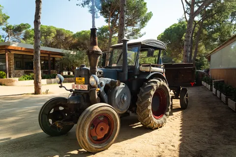 Camping Begur foto 11