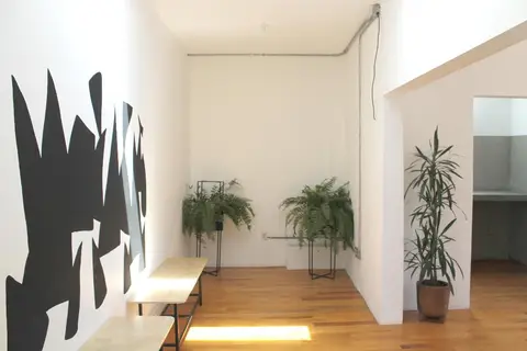 Casa MX Alameda in CASA MX alameda, foto 13
