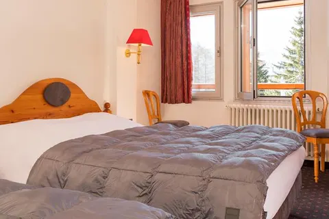 Hôtel Les Mélèzes foto 5