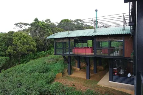 Rainforest Eco Lodge in Rainforest Ecolodge — foto 20