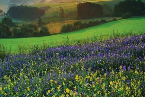 Grand Hotel Cravat foto 21