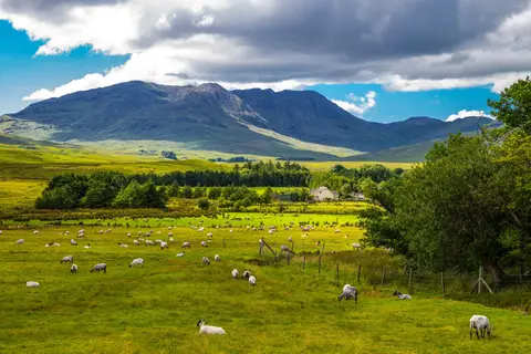 Ierland, 40 tinten groen in Ierland — foto 8