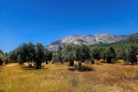 Appartementen Le Jardin foto 26