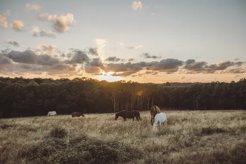 Village De La Guyonniere foto 26