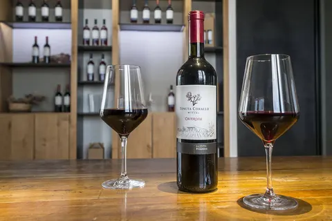 Tenuta Corallo & Wine Resort foto 5