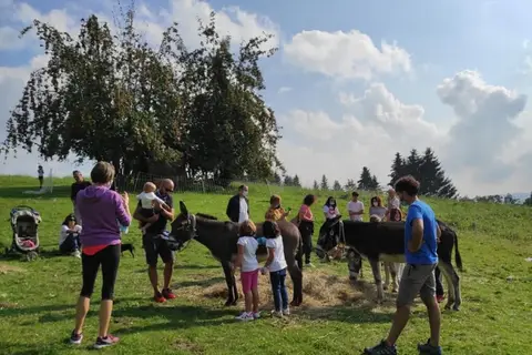 Camping Ekar Asiago in Asiago — foto 22