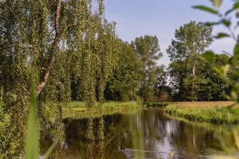 Vakantiepark Mölke foto 29