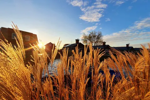 Vakantiepark Tusken De Marren foto 22