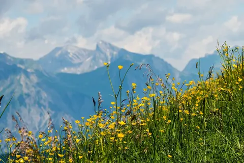 Hotel Garfrescha foto 17