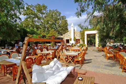 Okaliptus in Bodrum, foto 14