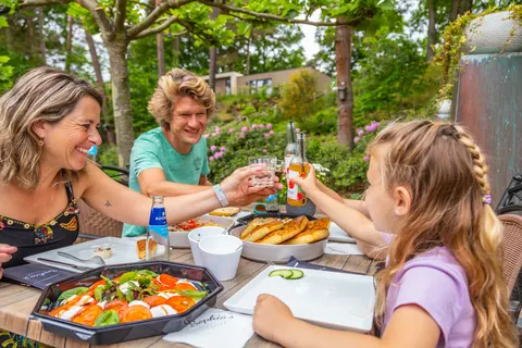 Vakantiepark Maasduinen foto 8