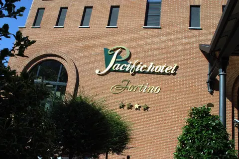 Pacific Fortino in Turijn, foto 8