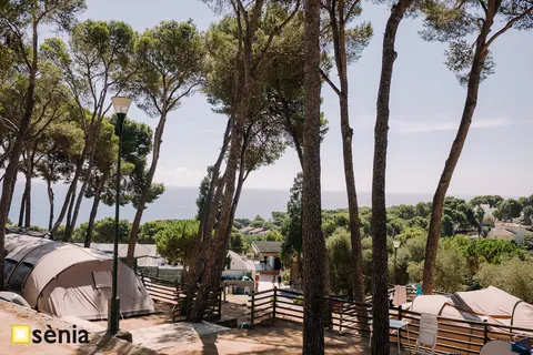 Camping Cala Gogo Internacional foto 22