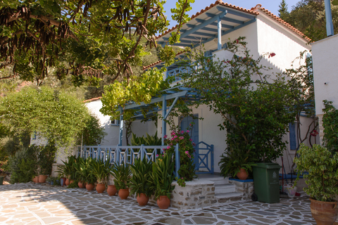 Aparthotel Blue Horizon foto 1