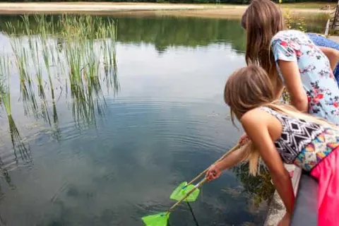 Camping Hengelhoef foto 24