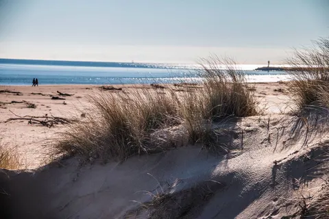 Camping Mas Des Lavandes foto 17