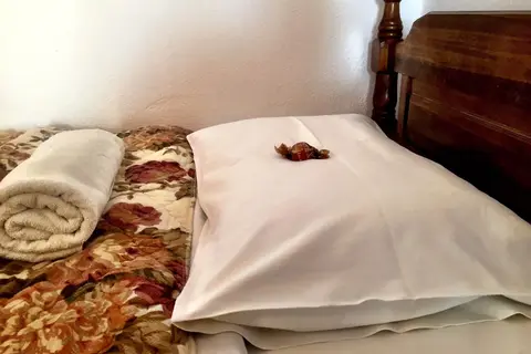 Irene Villas 1+2 in Ierapetra, foto 11