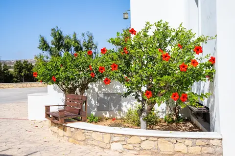 Irini Hotel in Rethimnon, foto 27