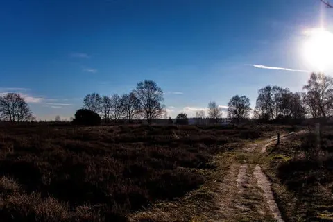 Hotel Wildeshauser Hof foto 20