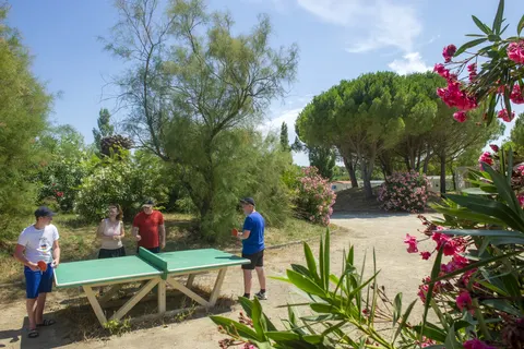 Camping Ensoya foto 3