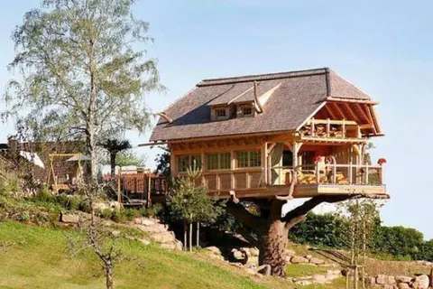 Wellnesshotel Tanne foto 10