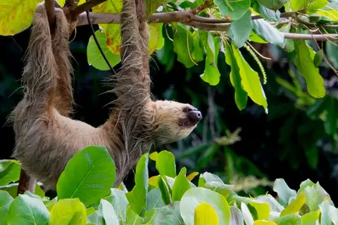 Explore Tropical Yucatán foto 18