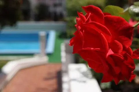 Canico Bay Apartments in Santa Cruz — foto 23