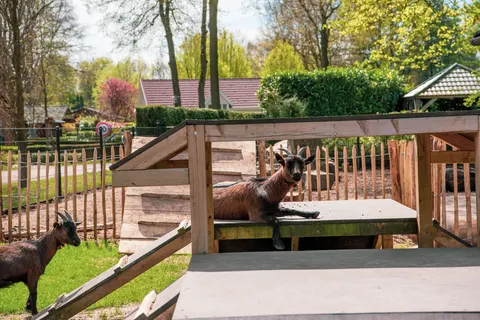 Vakantiepark De Achterhoek foto 14