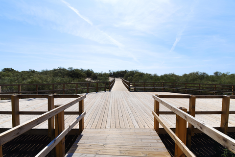 Praia da Lota Hotel foto 7