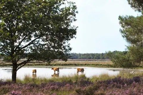 Boutique Hotel Lytel Blue in Riethoven — foto 16