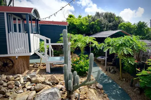 Mammaloe's in Santa Cruz — foto 20