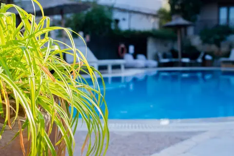 Stamos in Δημοτική Ενότητα Κασσάνδρας — foto 29