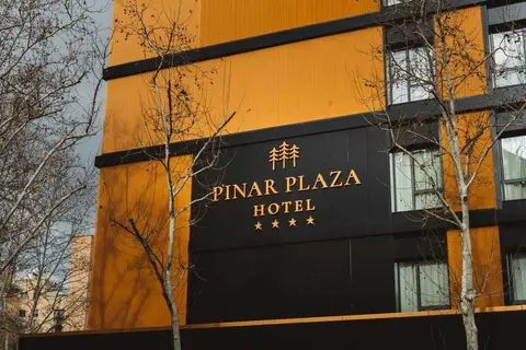 Pinar Plaza Hotel in Madrid, foto 10