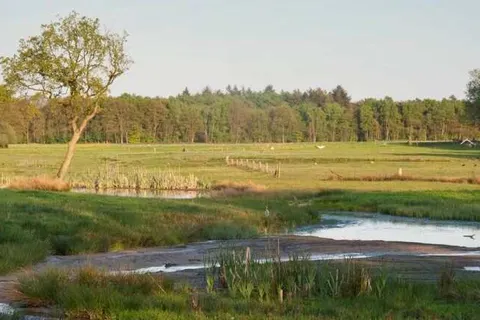 Bed and Breakfast Hoeve Springendal foto 22