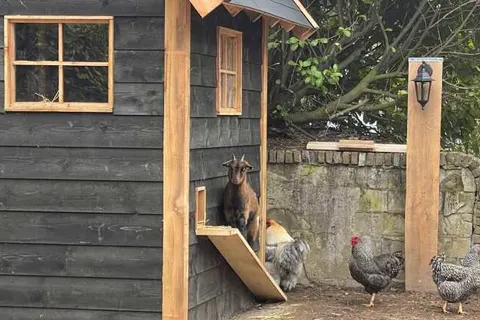 Vakantiepark de Bosrand foto 14