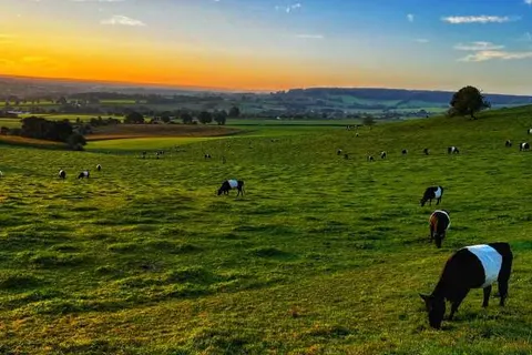 Appartementen De Zegelskoël foto 18
