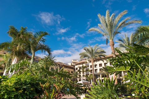 Hotel GF Gran Costa Adeje foto 14