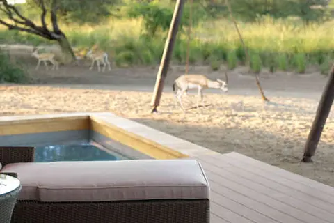 Desert Islands Resort & Spa by Anantara in صير بني ياس — foto 29
