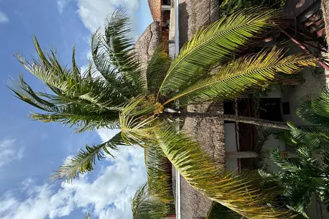 Hotel Kin Ha Tulum in Cancún, foto 23